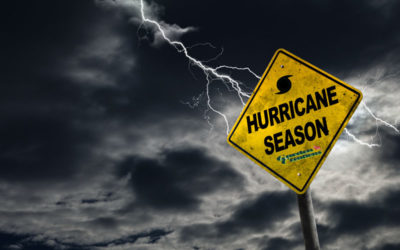 Preparing Your Yard for our South Florida Hurricane Season